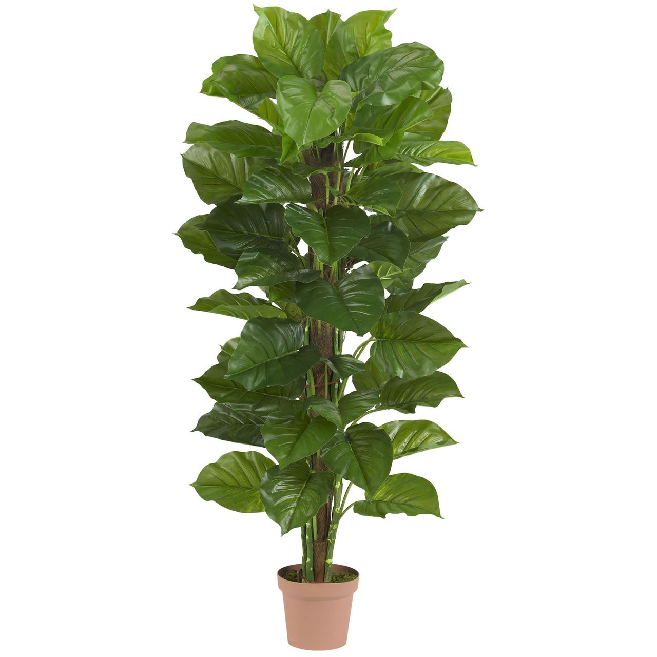 63″ Large Leaf Philodendron Silk Plant – (Real Touch)