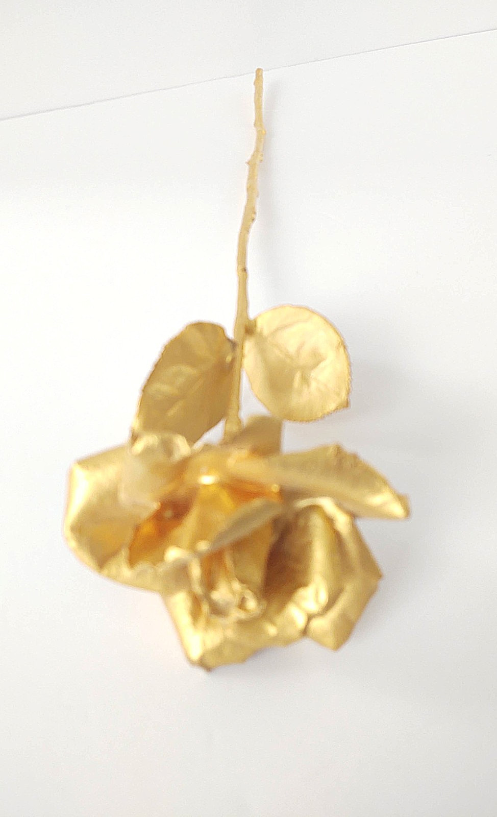 Classic 24K Gold Dipped “Real American Rose” Keepsake – 17.5″ Long