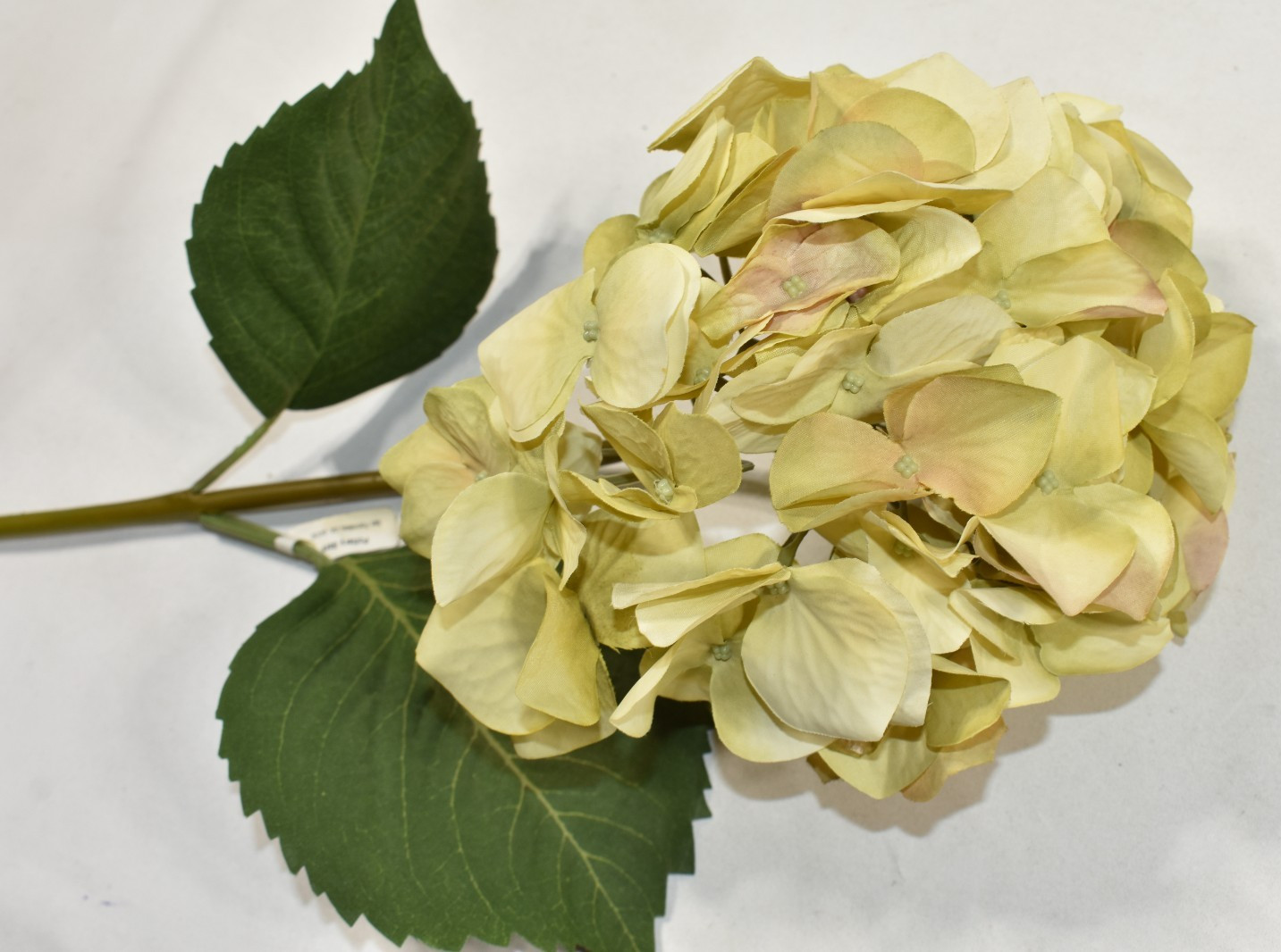 Pottery Barn Faux Hydrangea Ivory Branch Artificial Flower 26″ Stem NEW NOS