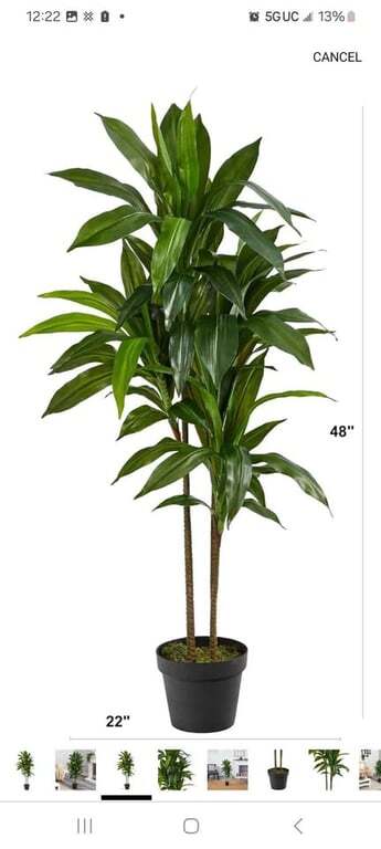 Natural 48″ Dracaena Silk Plant (Real Touch) Green