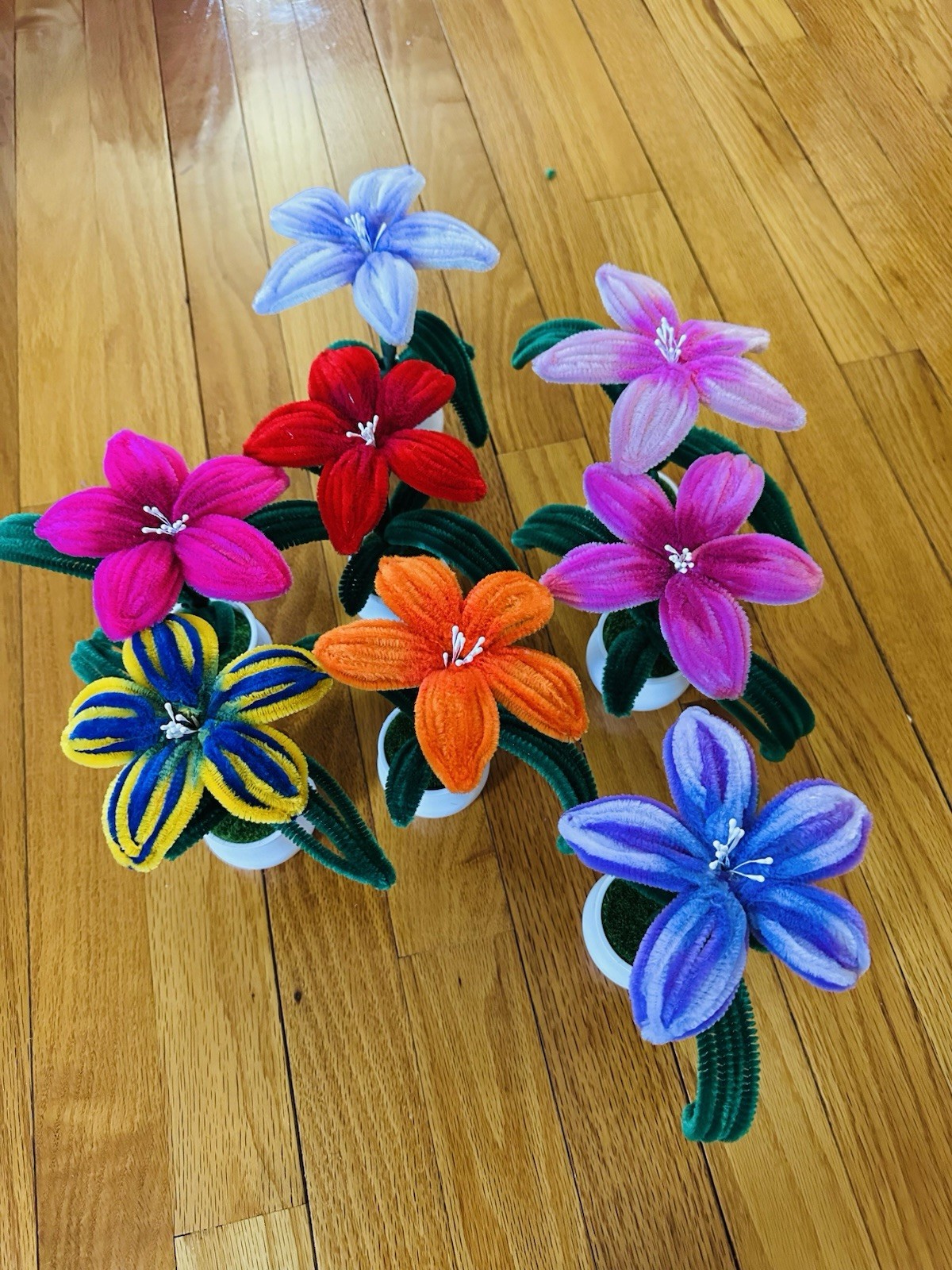 Fuzzy Flower In A Small Pot , All Colors Available ,