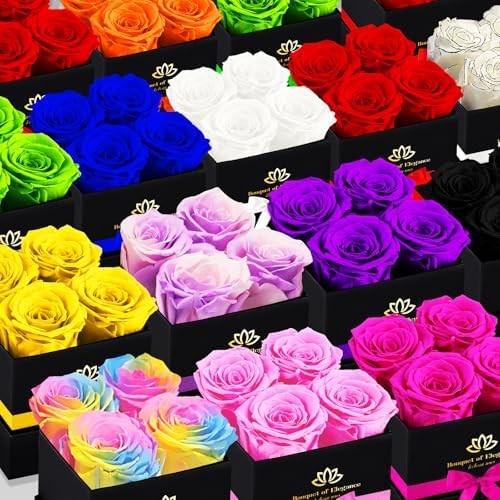 Forever Flowers Roses in A Box,Real Preserved Flowers,Preserved Roses,Preserved