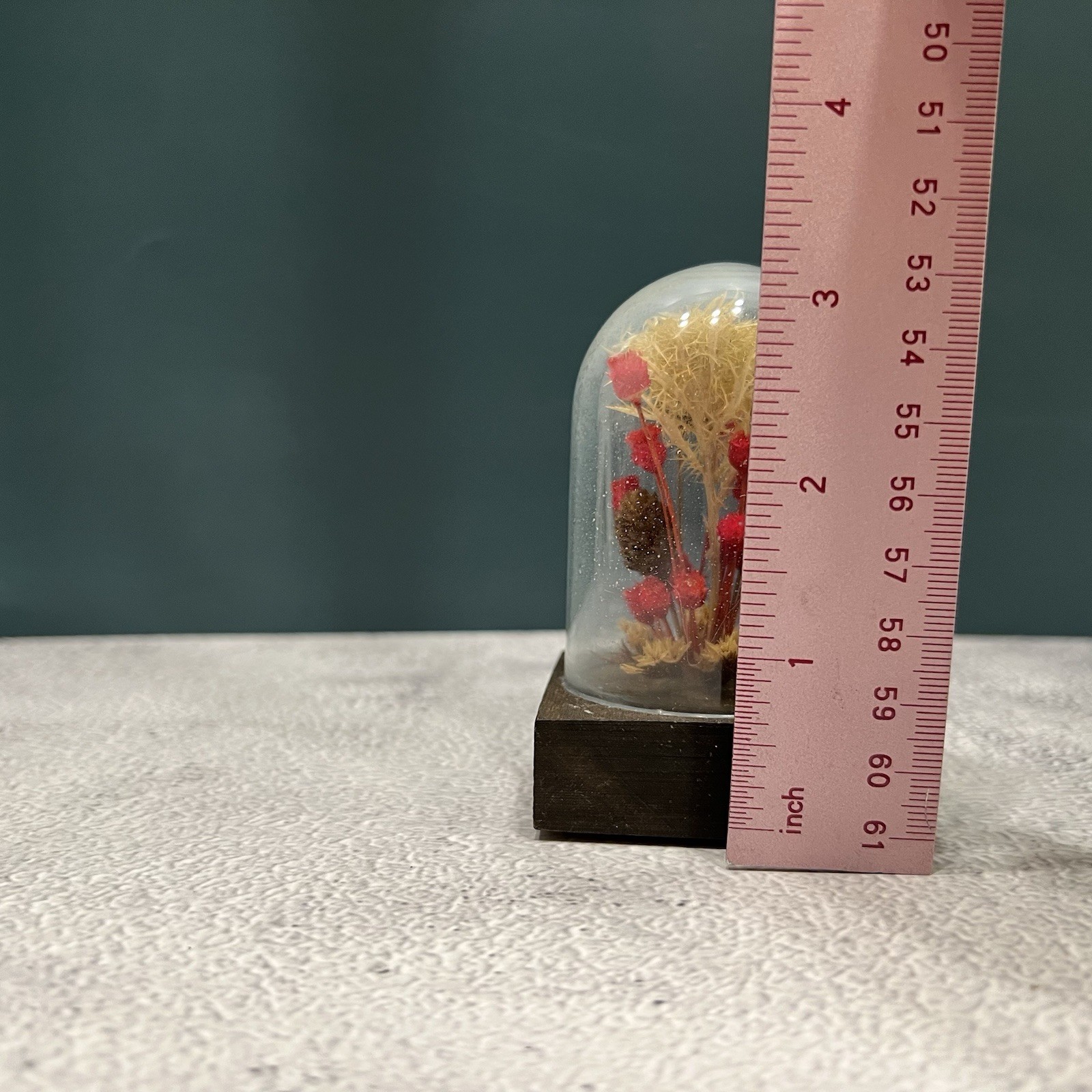 Vintage 70s Mid Century Modern Mini Dried Floral Cloche Flower Dome Terrarium