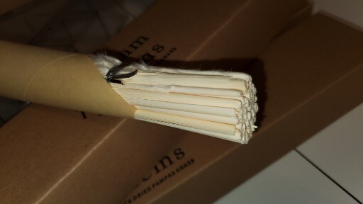 40 Pack GlamStems White Dried Pampas Grass Decor 17in Pampas Grass NEW!