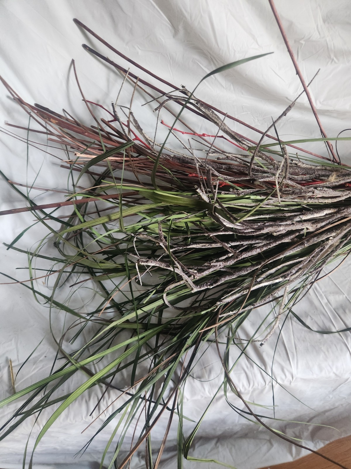 Decorative Artificial Willow Branch Set with White LED Lights for Indoor/Outdoor