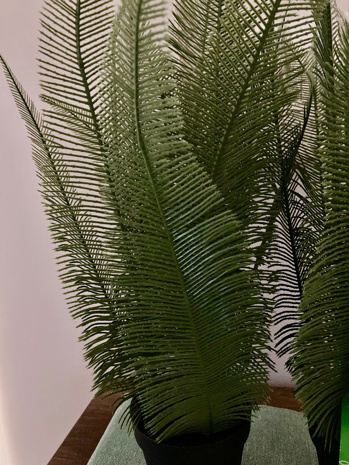Faux Greenery Artificial Fern Home Decor Set of Two