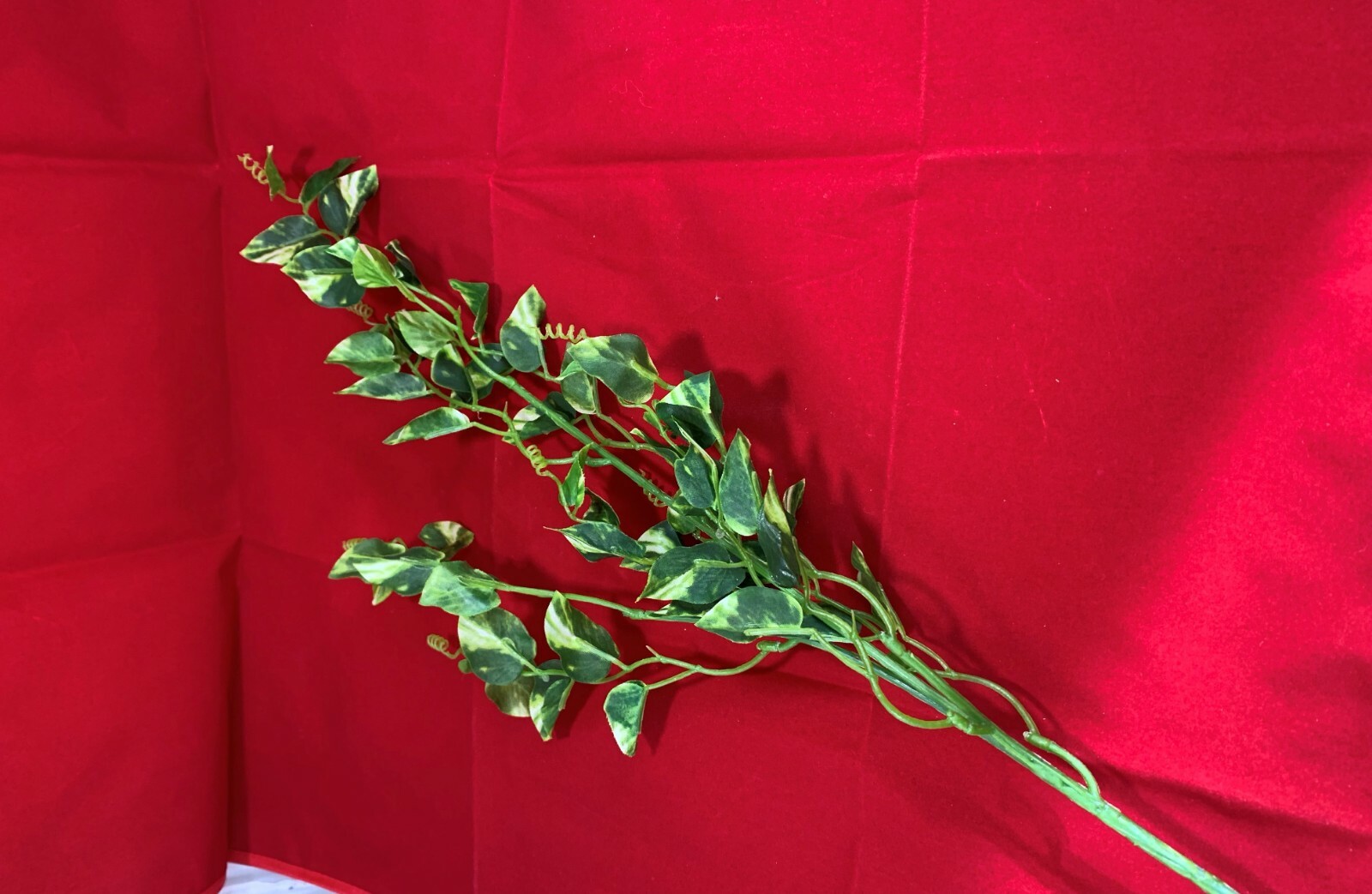Premium Artificial Pothos Ivy