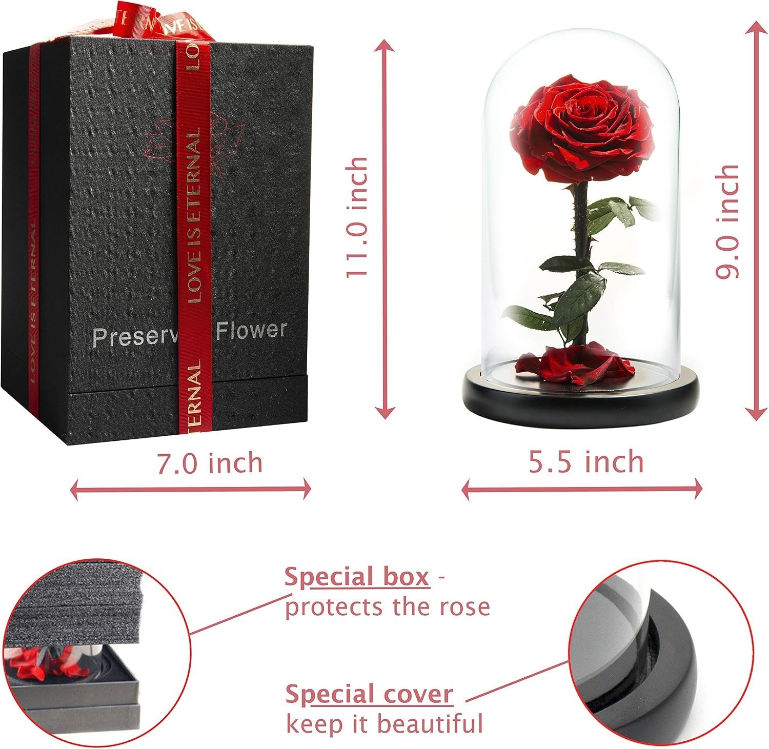 Forever Rose in Glass Dome – Beauty and the Beast Rose
