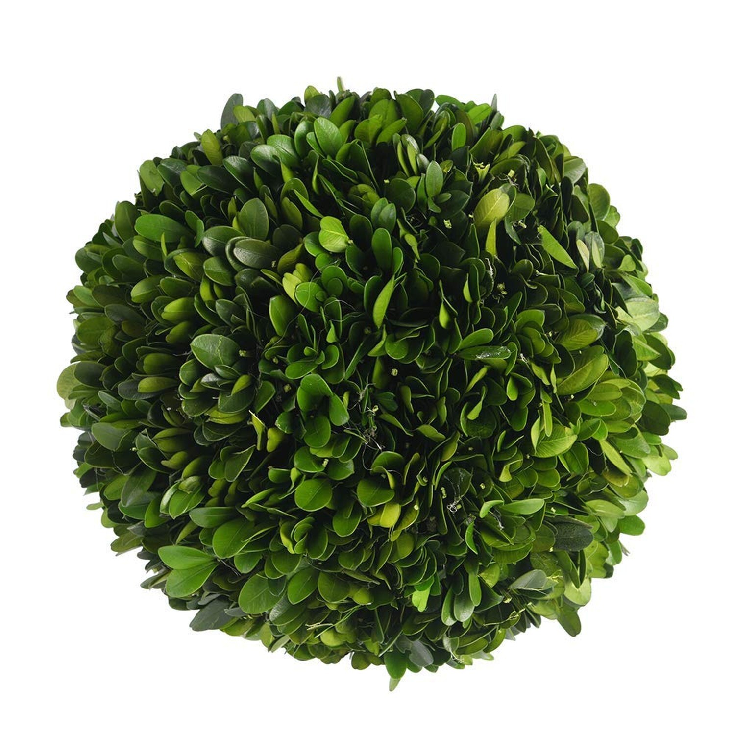 Boxwood Topiary Ball 10″ Preserved Boxwood Topiary Plant Wedding Decor Indoor…