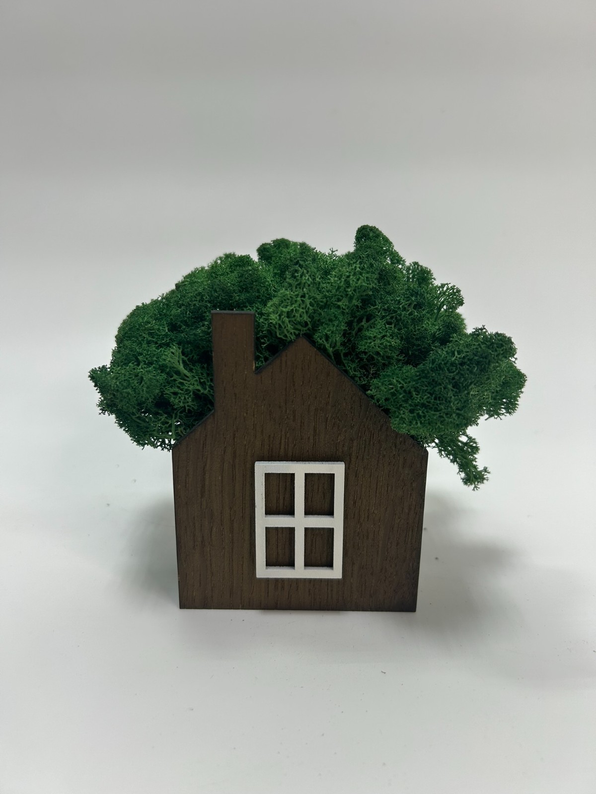 Handmade Wooden Moss House | Natural Eco Home Decor | Stabilized Moss Mini House