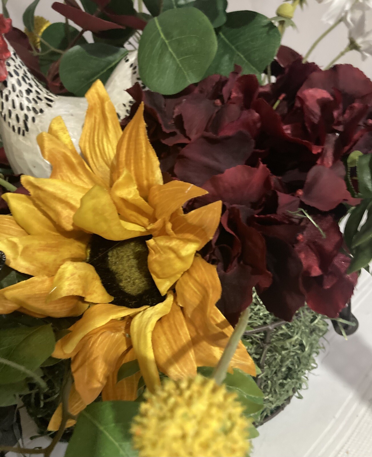 The Stately White And Red Rooster With White Cosmos And Yellow Sunflower