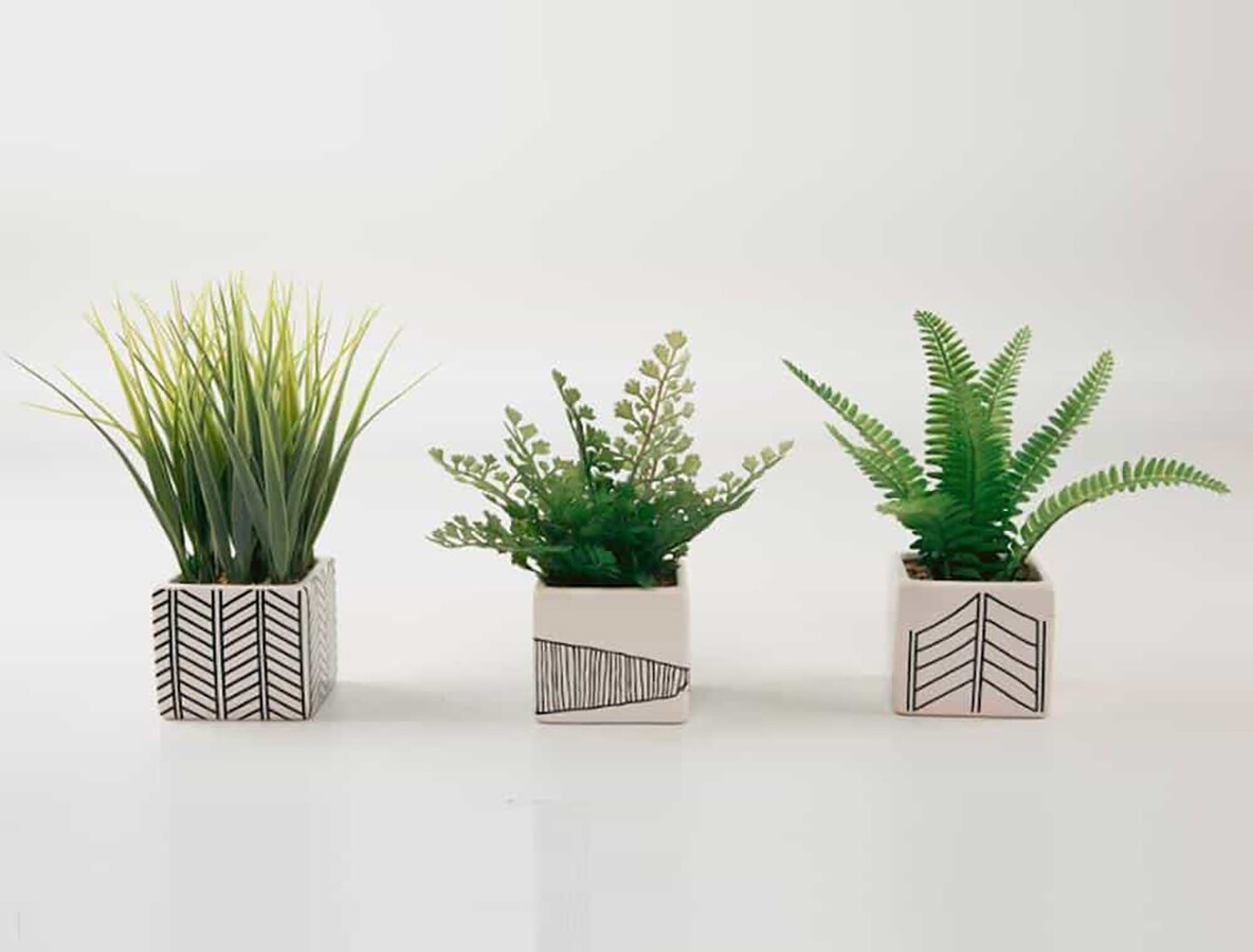Set of 3 Ferns and Grass in Chevron Pots – 7″