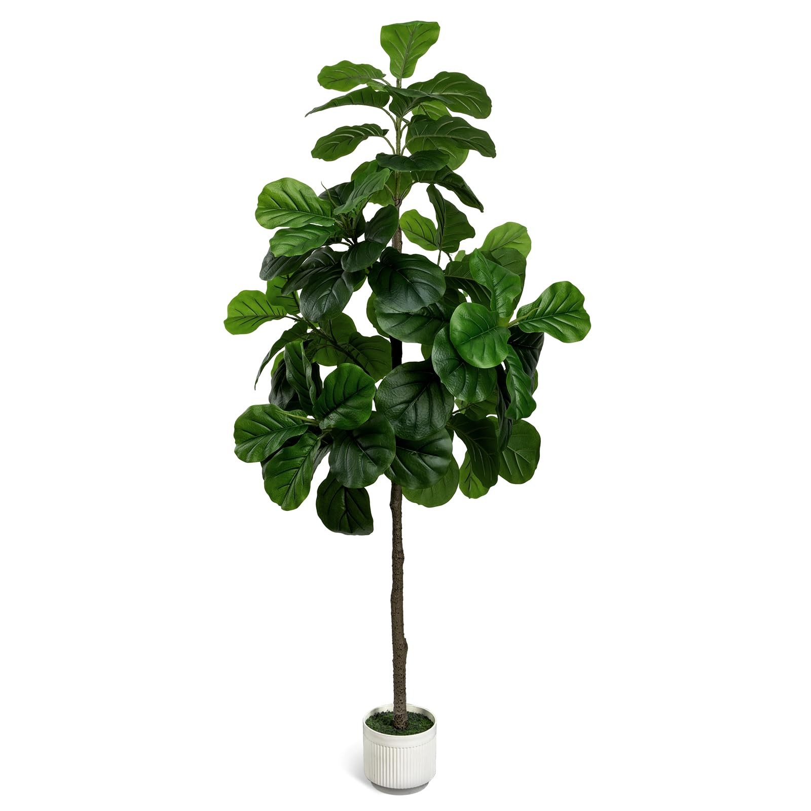 1 PCS Artificial Fiddle Leaf Fig Tree 6 ft Fake Faux Ficus White Planter Pot