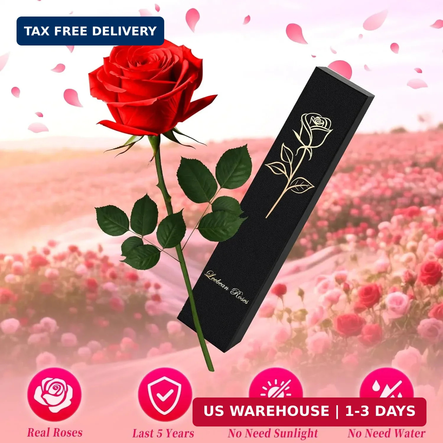 Single Forever Roses Luxury Gift for Women/Men, Birthday Gifts for Women,Flowers