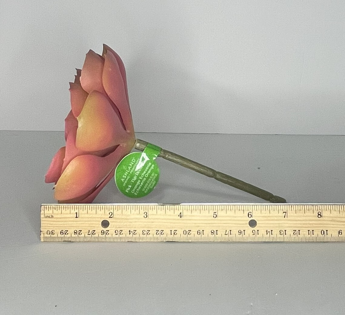 Orange Echeveria Large Pics Ashland Pick Fake Plastic Succulents 7″