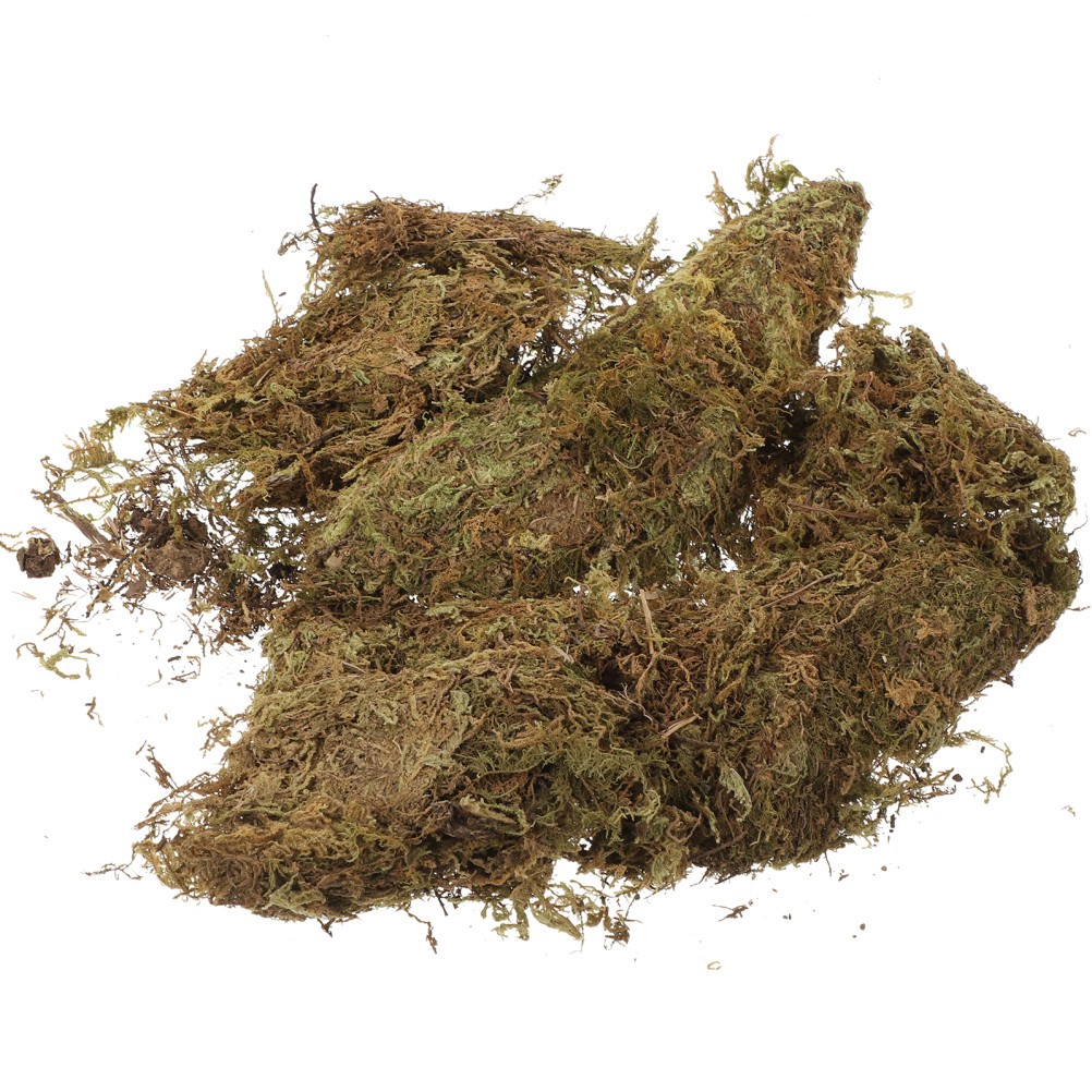2 Packs Decorative Dried Moss for DIY Durable Green Moss for Gardening Bonsai