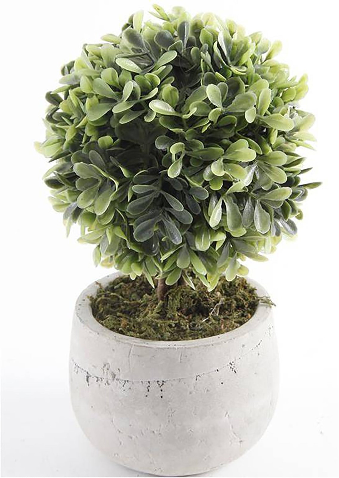 (2 pack 7.5″ Artificial Mini Boxwood Topiary in Gray Cement Planter
