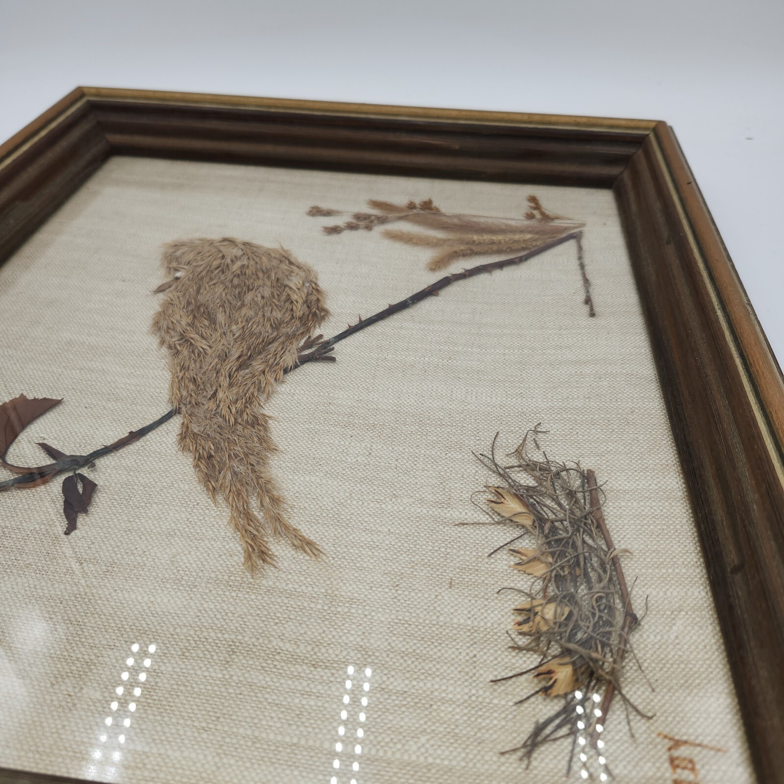 Vintage dried pressed flowers weeds taxidermy wall art bird 14 x 16 wood frame