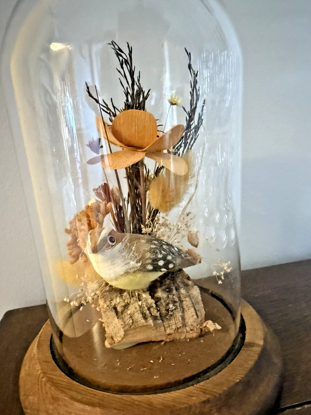 Vintage Hand Made Dried Floral & Bird Diorama / Terrarium Glass Dome Display