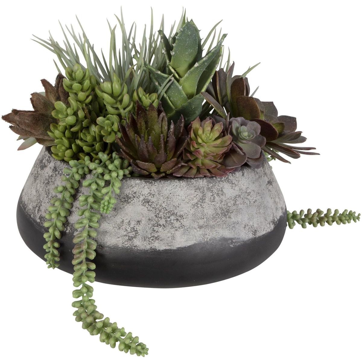 Uttermost 60214 Yuma Green and Burgundy with Dark Iron Succulent Centerpiece