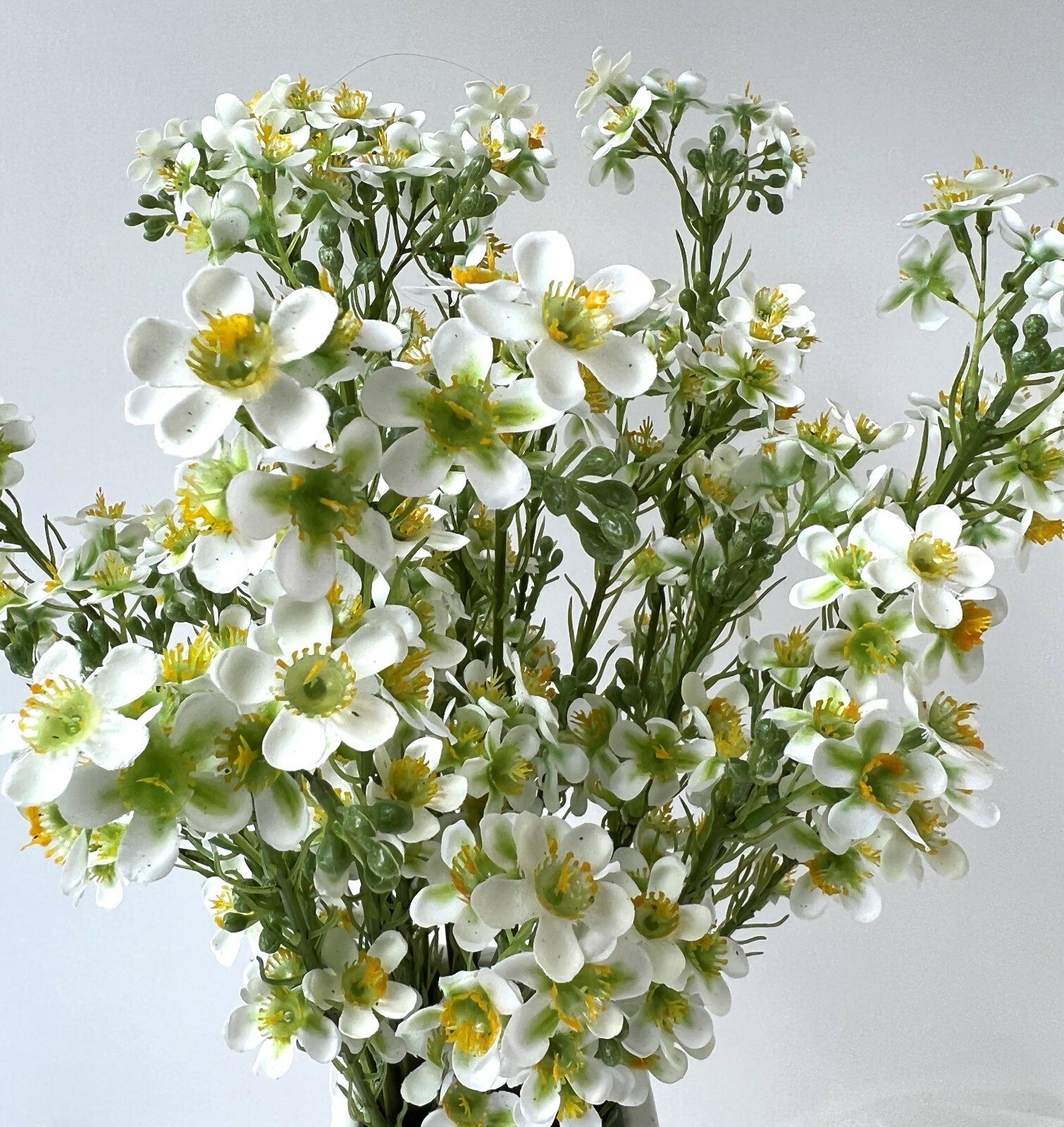 Geraldton Wax Flower Australian Native Flowers White Green Wax Stem Artificial 1