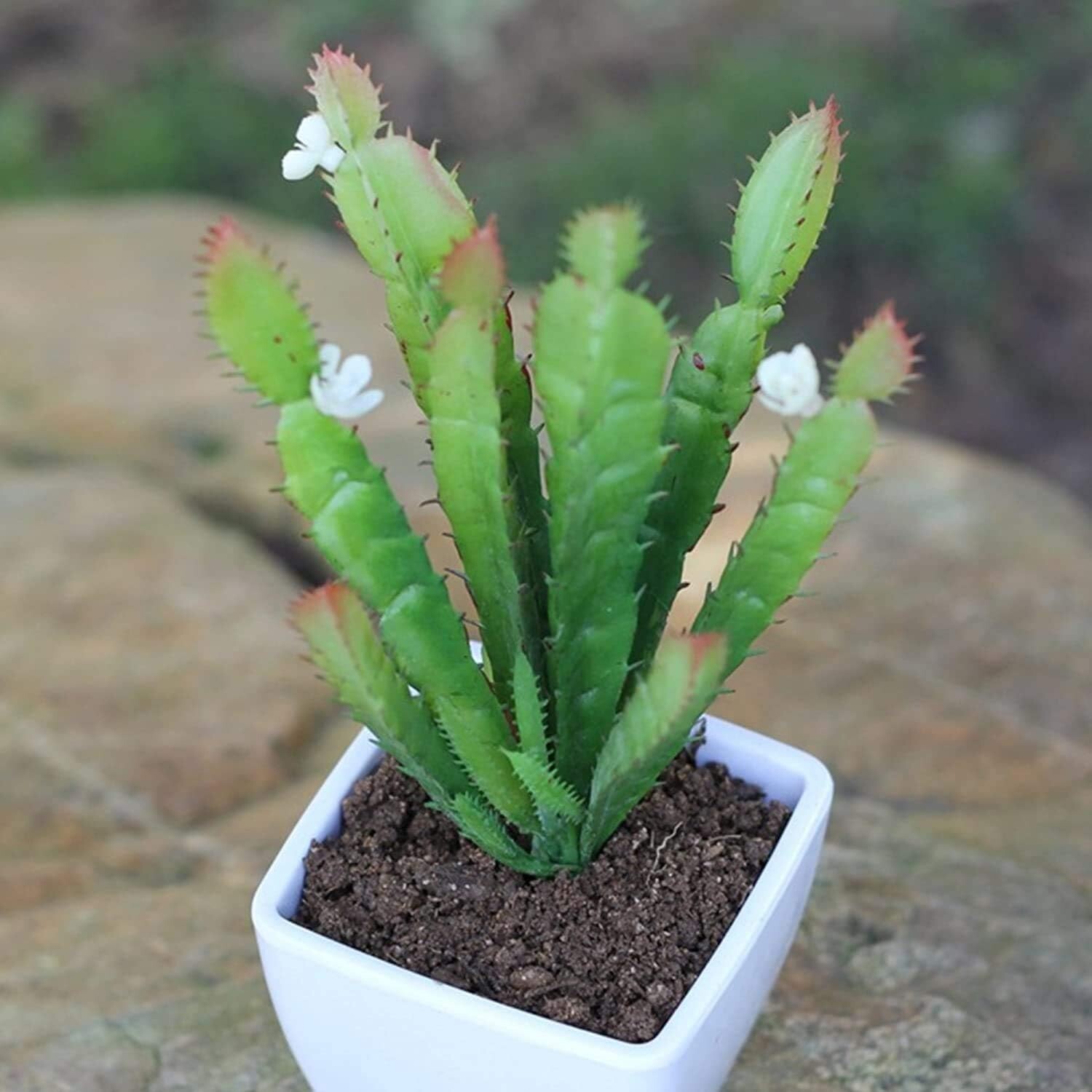 2 PCS Mini Artificial Succulents Plants Unpotted Faux Cactus Fake Succulent