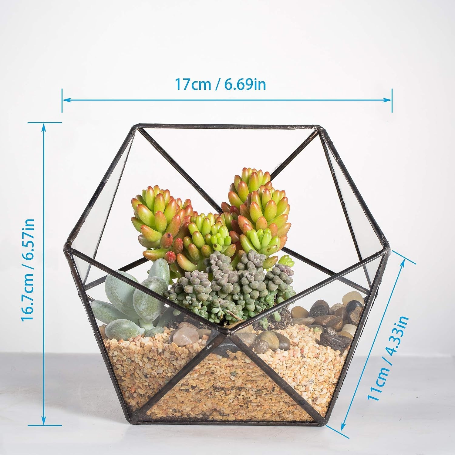 Opened Geometric Glass Terrarium, 6.69″ Bowl Shape Planter For Succulent Plant