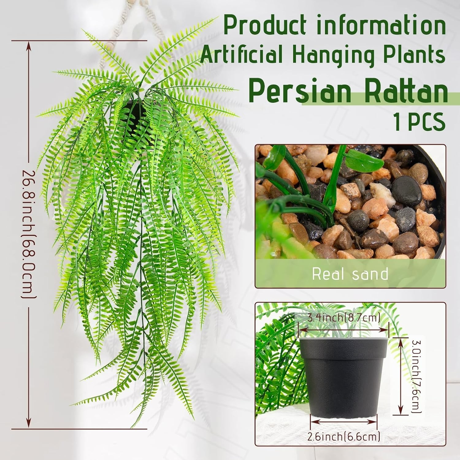 Elegant Hanging Boston Fern for Home and Office Spaces – No Maintenance Required