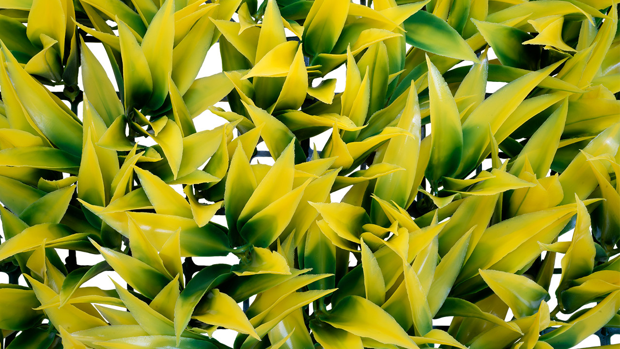 Emerald Artificial Greenery – Artificial Ivy Panel (Box) Nagi
