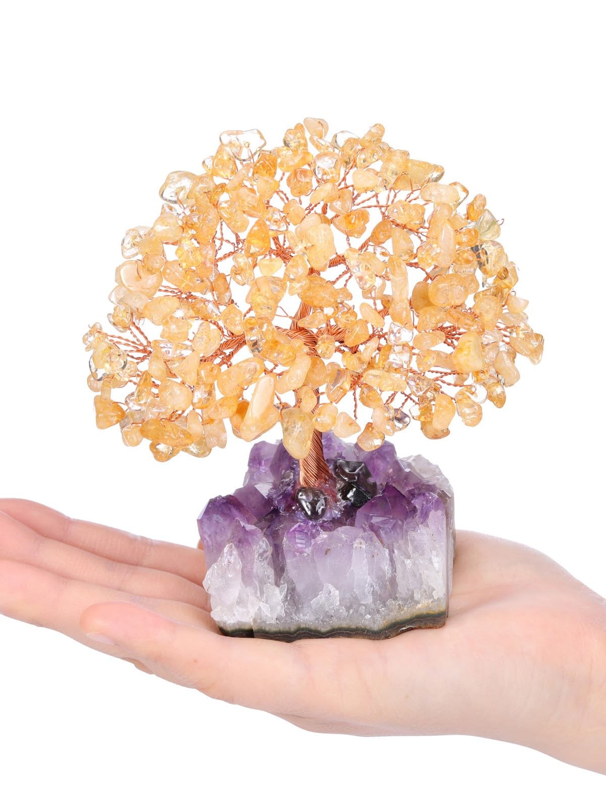 Natural Citrine Healing Crystal Money Tree on Amethyst Cluster Geode Druzy Ba…