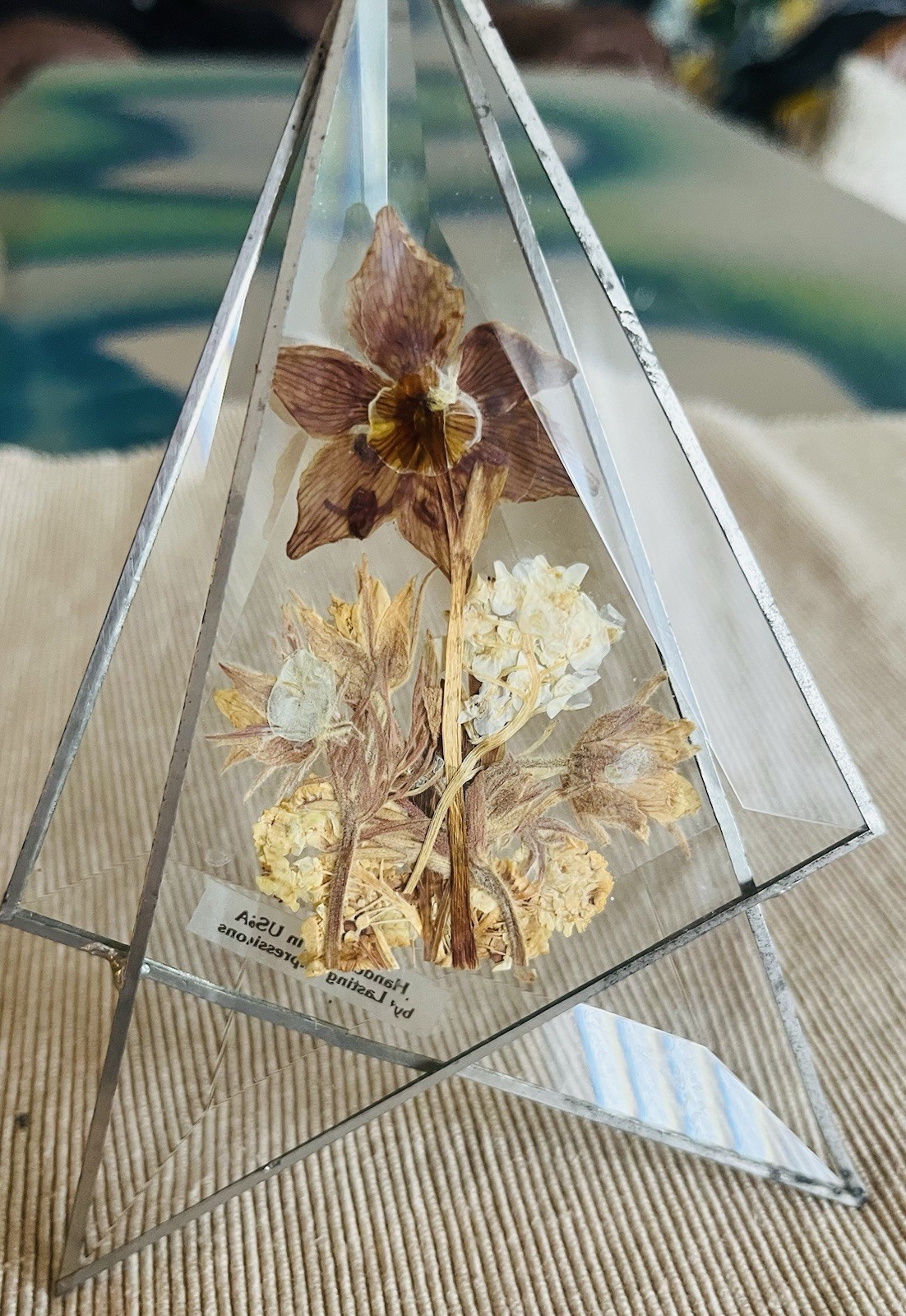 Lasting Impressions Real Dried Flowers Glass Wall Hangings Metal Frame