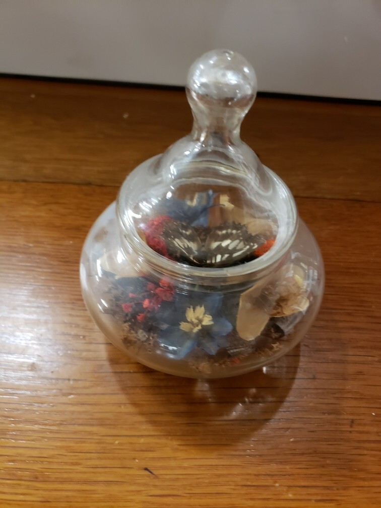 Vtg Apothecary Jar w/Lid Butterfly Terrarium Floral Dried Flowers 5”