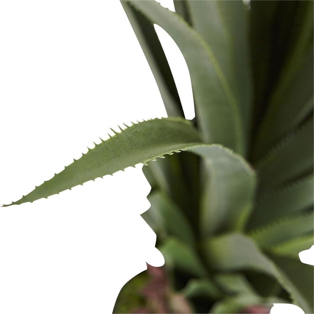 Pemberly Row 48″ Spiked Agave Plant with 361 Leaves in Green/Black