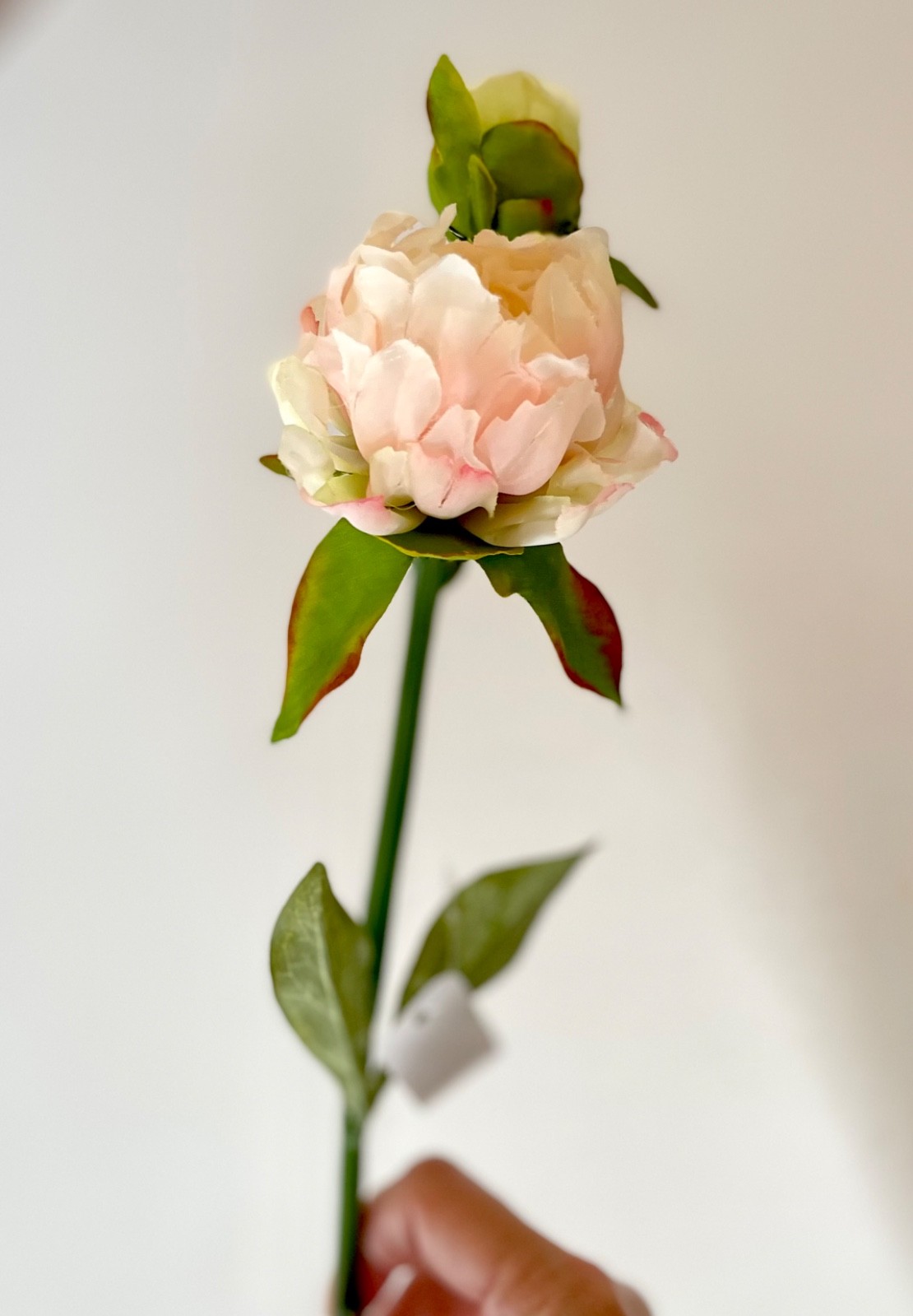 22.5″ LONG FAUX PEONY STEM FLOWER IN COLOR SERIES CREAMS / BLUSH / PINKS / PEACH