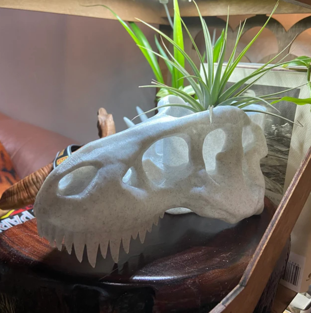 White Dinosaur Skull Planter – Decorative Flower Pot, Animal Lover