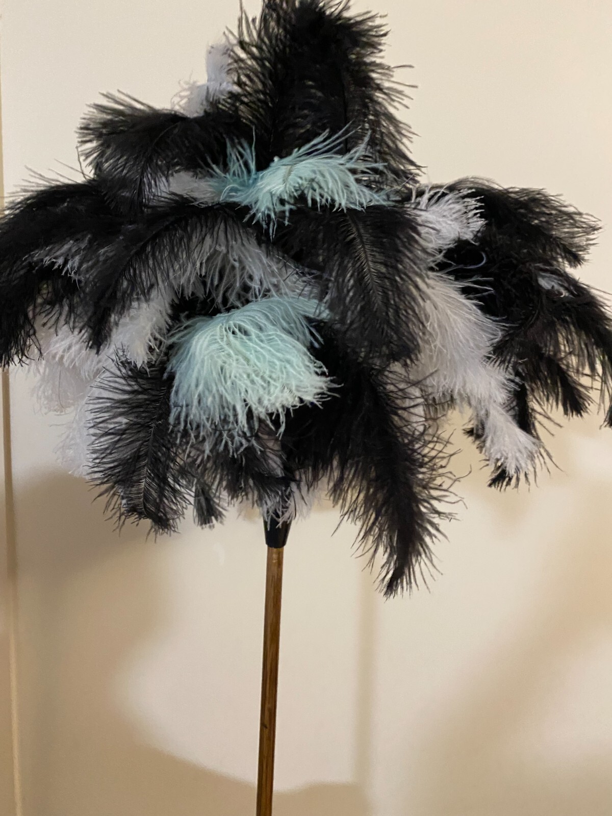 First grade ostrich feather display 95grm white – black ostrich mint feathers