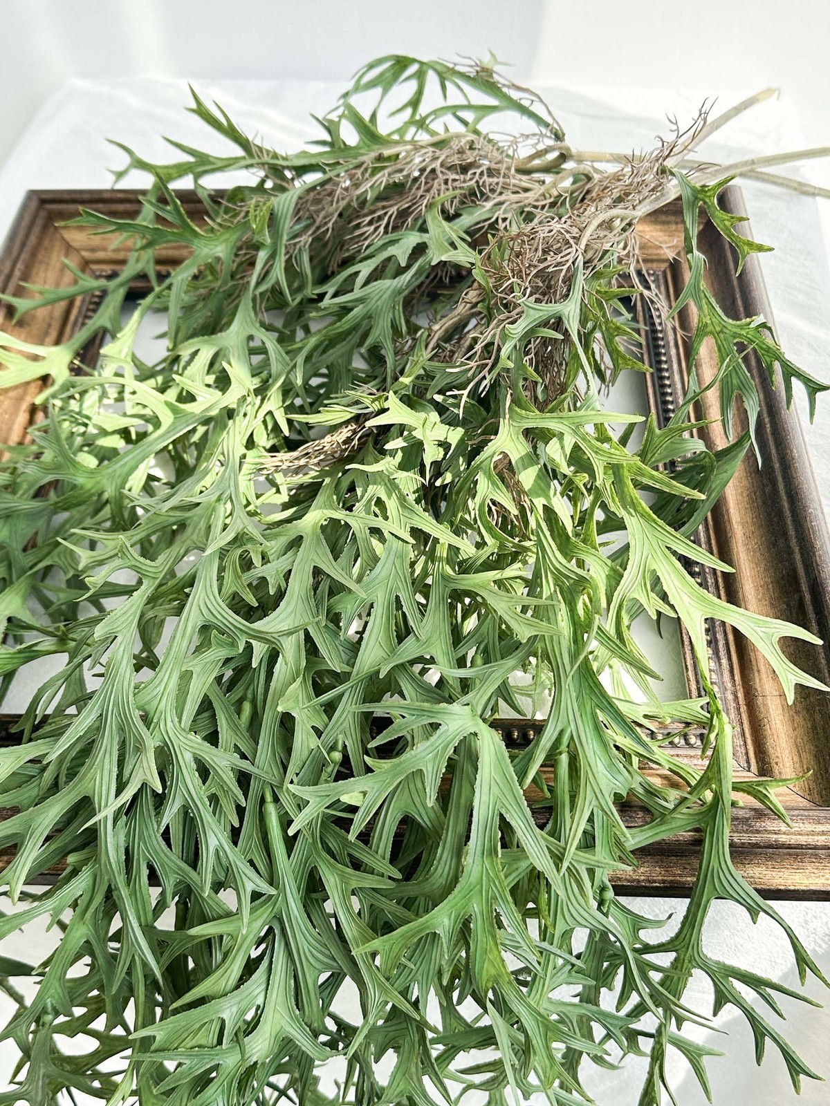 3 Fake Hanging Plants of Lambs Ear Stems with Roots, 47.24 inch Faux Hanging …