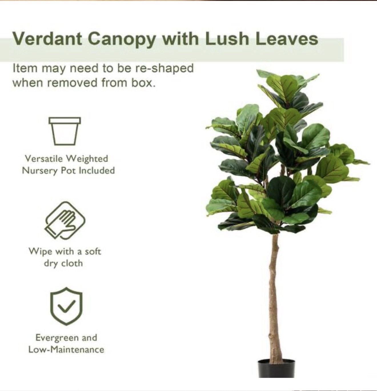 Wildwood & Cypress 60” Realistic Olive Tree Variegated Foliage Faux Indoor Plant