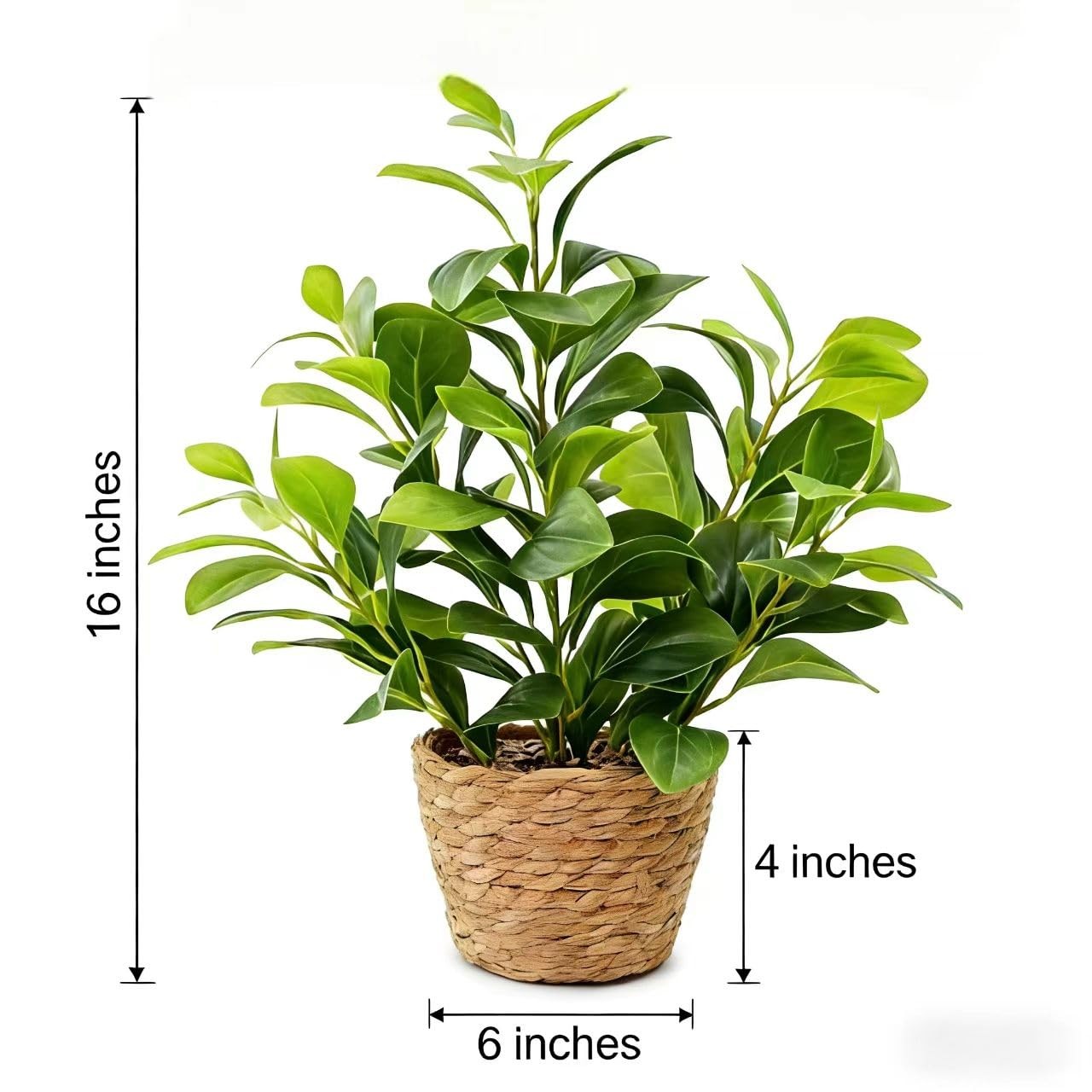 16 inch Artificial Peperomia Potted Plant in Woven Basket Planter Lifelike Tw…
