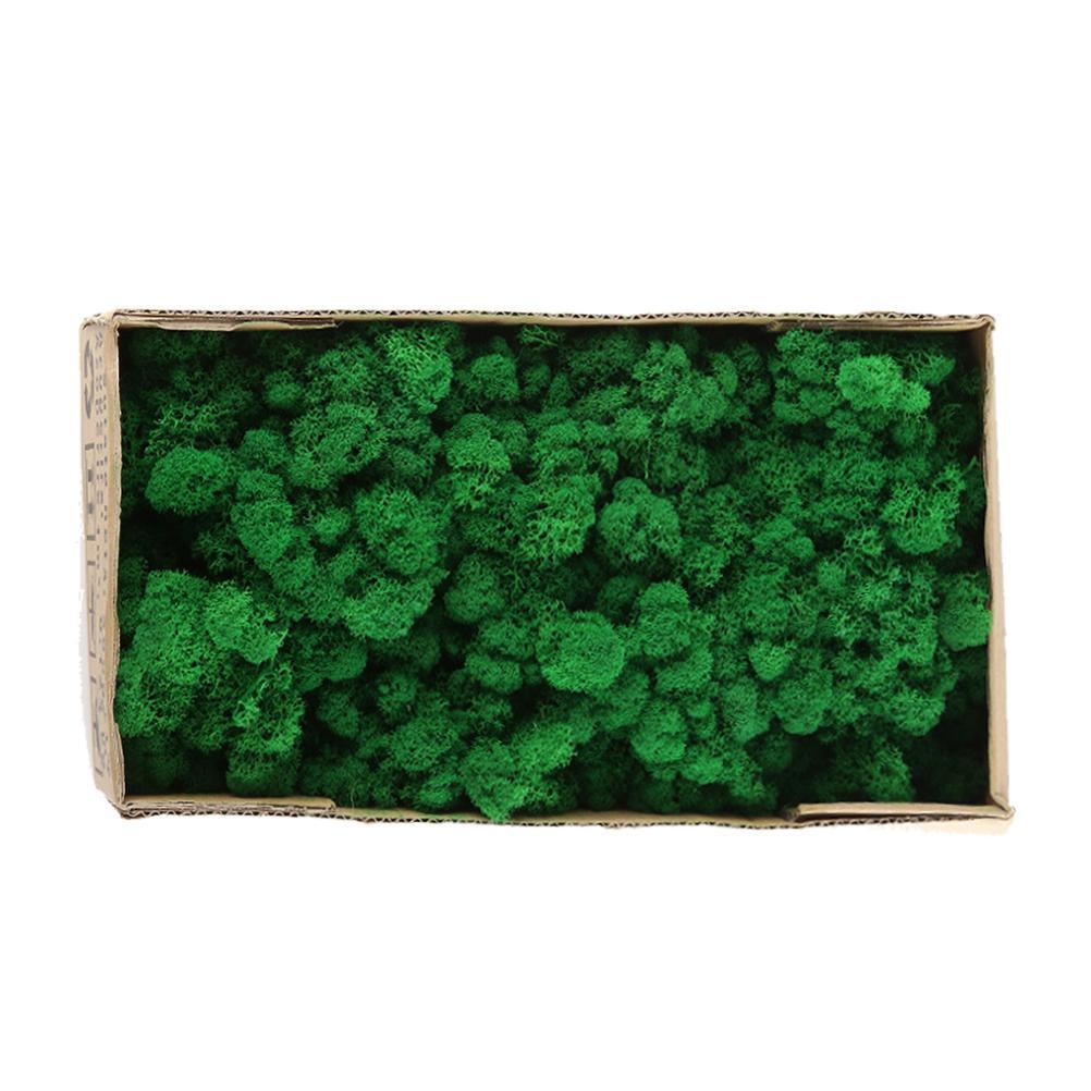 New Preserved Decorative Moss Natural New Preserved Moss For Home Decoration US