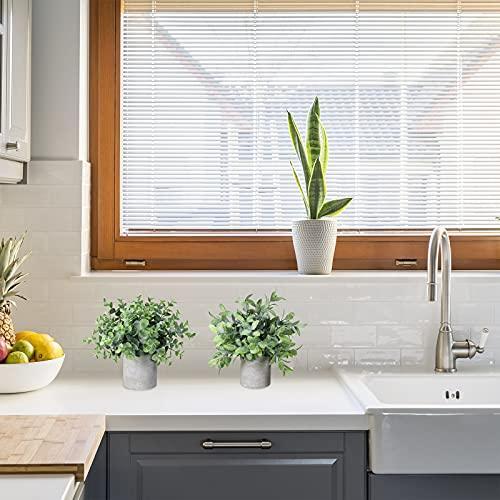 Winlyn Set of 2 Faux Mini Potted Plants Artificial Eucalyptus Boxwood Plants in