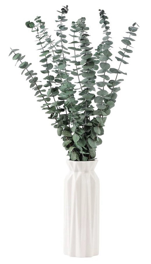 10 Pcs Dried Eucalyptus Stems 17″ Real Eucalyptus for Shower Hanging 100% Made f