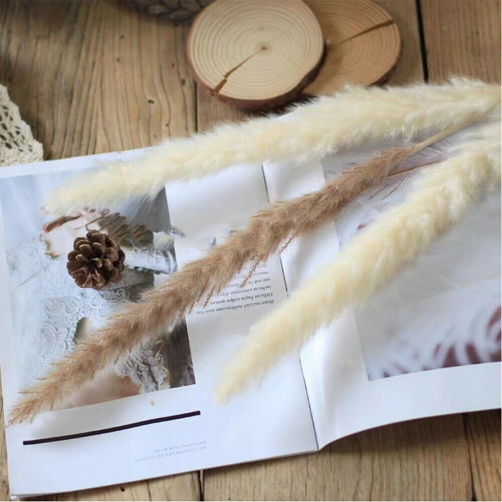 60PCS Natural Dried Pampas Grass Reed Flower Bunch DIY Flower Home Decor Supply