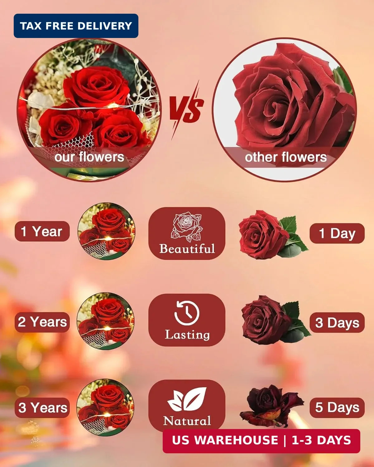 HVY Christmas Day Gifts for Women,Preserved Flowers Bouquet in Glass with LED Li