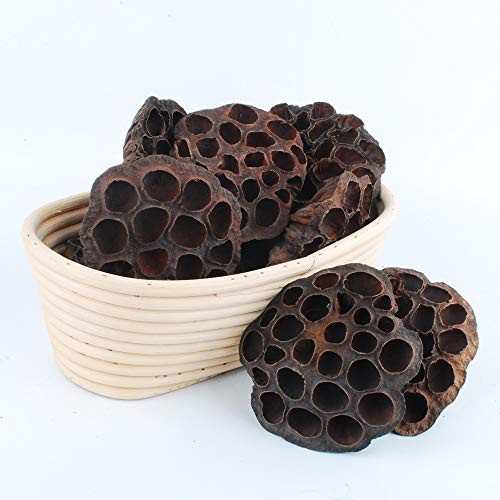 10PCS Dried Brown Lotus Pods – Natural Decor, No Seeds or Stems, 8-10CM