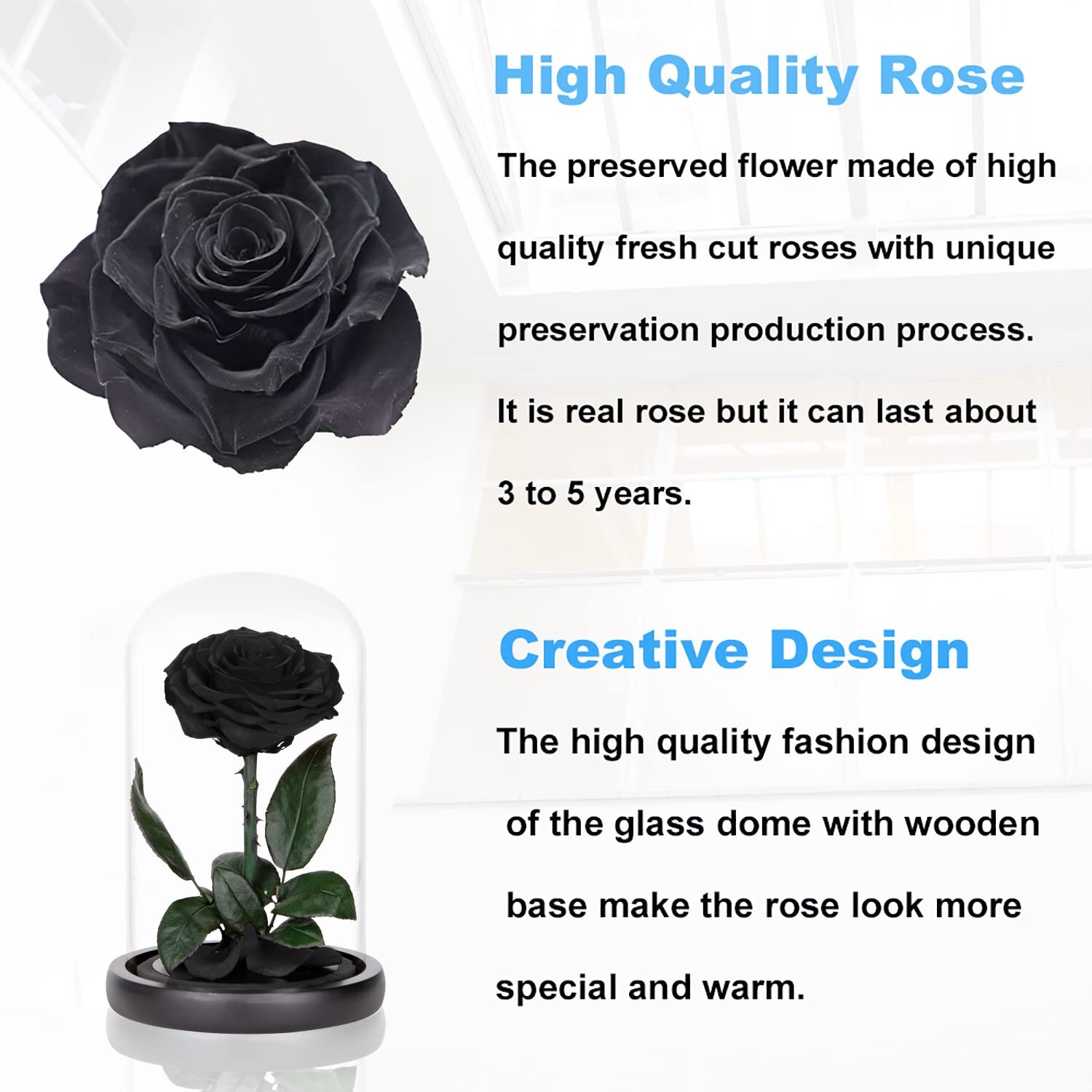Preserved Roses Black Roses in Glass Dome, Medium, Real Rose That Last 2 to 3…
