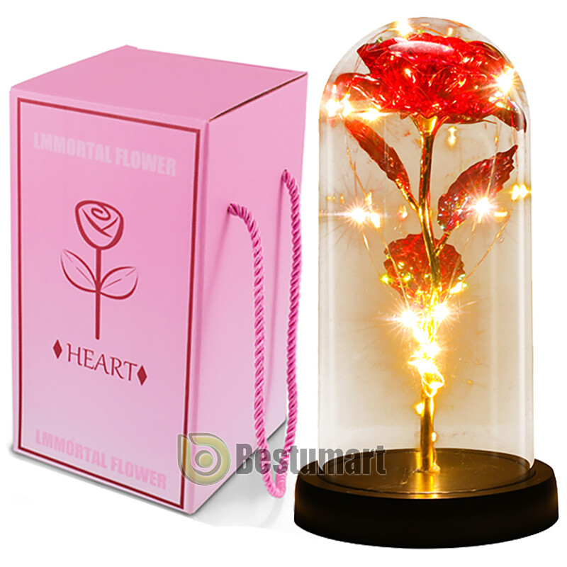 Eternal Rose LED Light in Glass Flower Gift for Her Valentine’s Christmas Gift