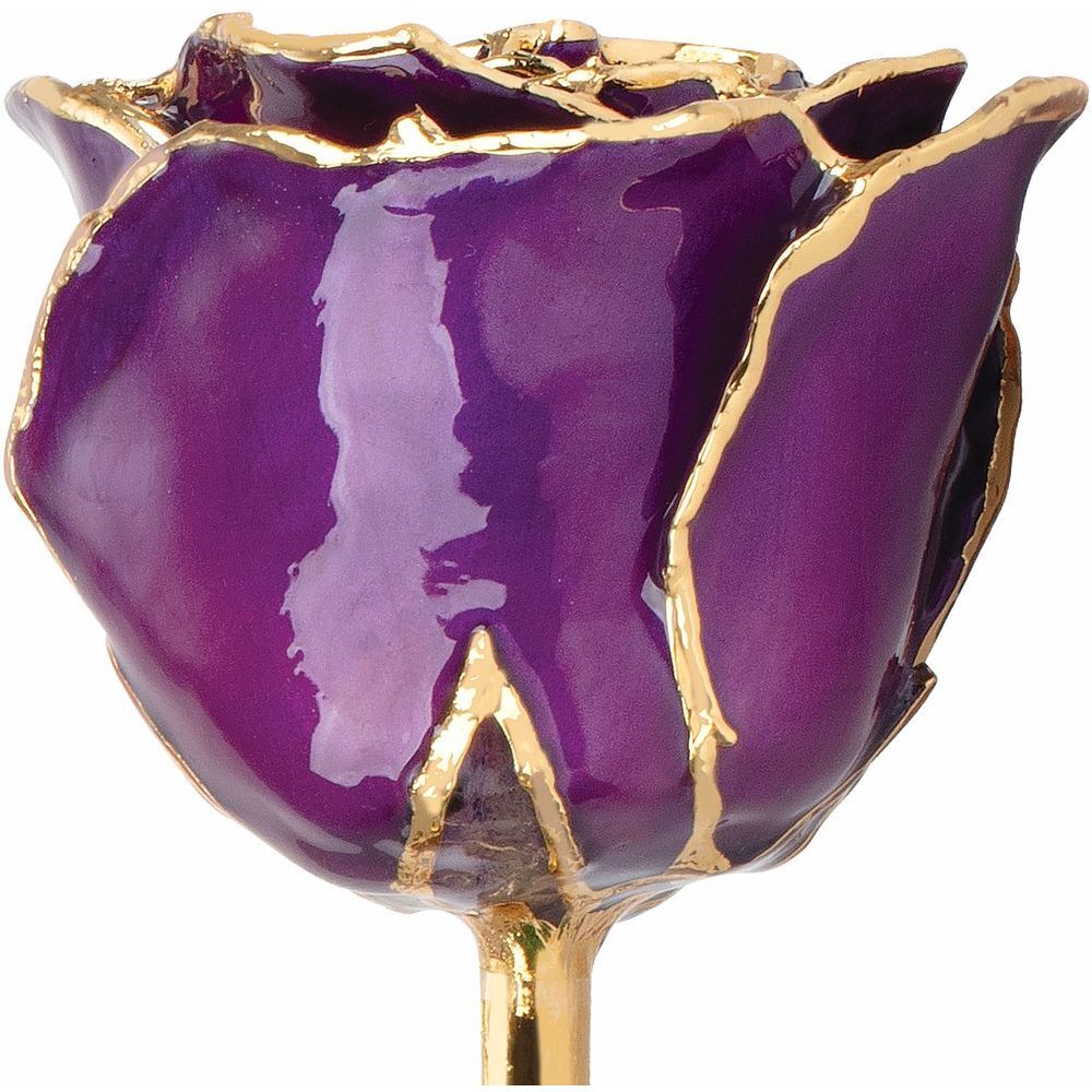24k Gold Dipped Purple Lacquer Real Rose Valentine’s Day Holiday Gift