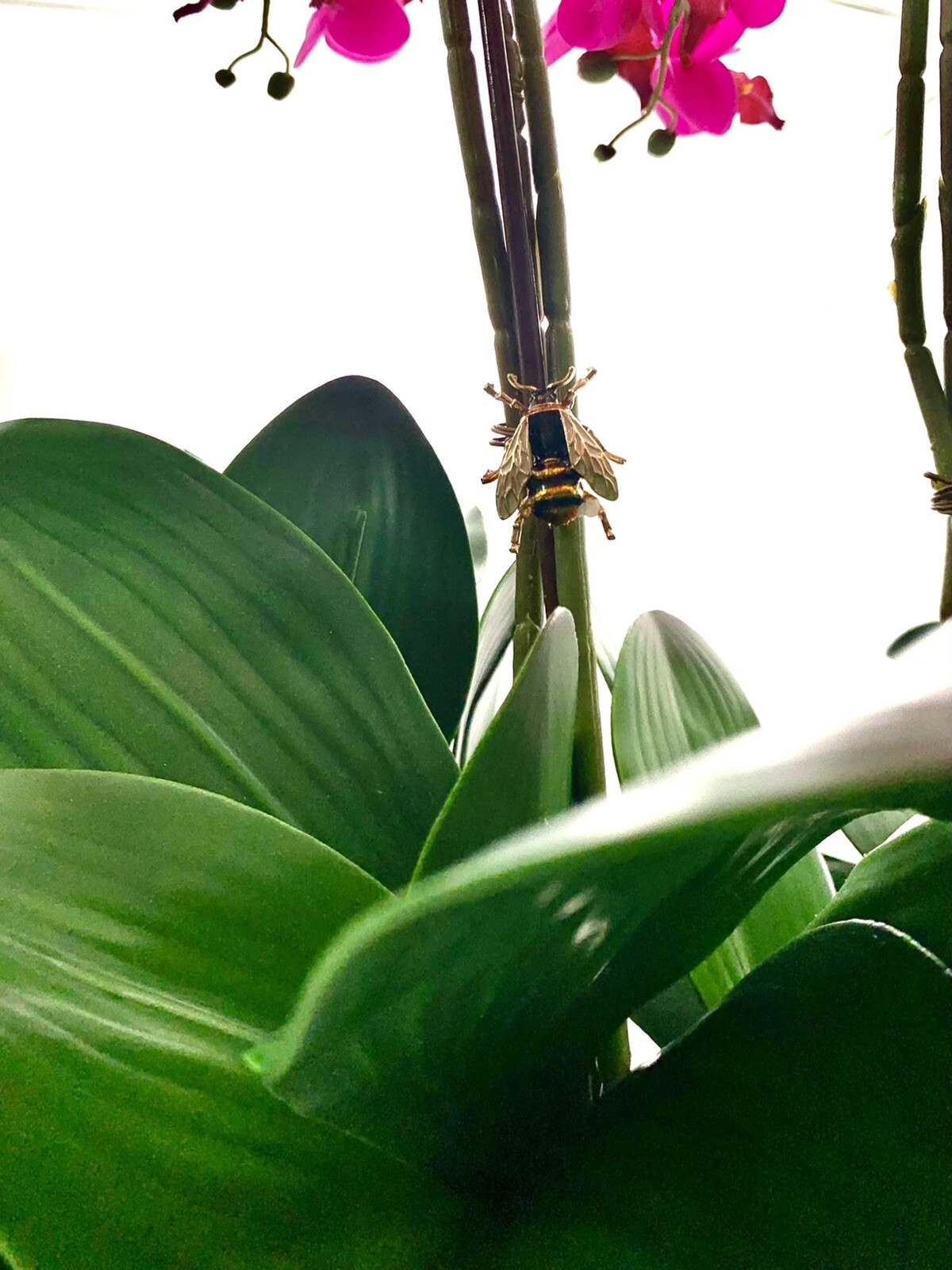 Orchid Arrangement Real Touch and Look Custom Faux Floral in Vintage Container