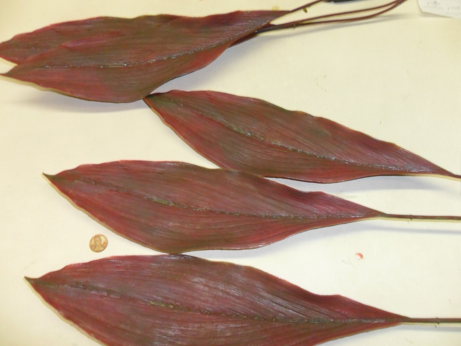 Vintage Plastic Large Burgundy Tropical Leaves 6 pieces